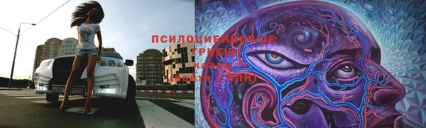 ГАЛЛЮЦИНОГЕННЫЕ ГРИБЫ Сосновка