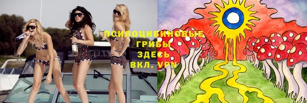 метадон Новозыбков